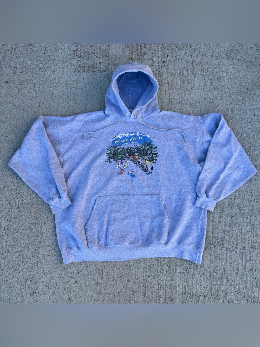 Vintage Hanes Ultimate Cotton Hoodie Sz XL Boxy Bright Nights Y2K Printpro Gray